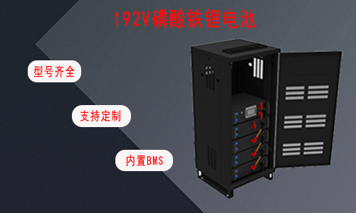 192V UPS磷酸铁草莓视频色板池.jpg